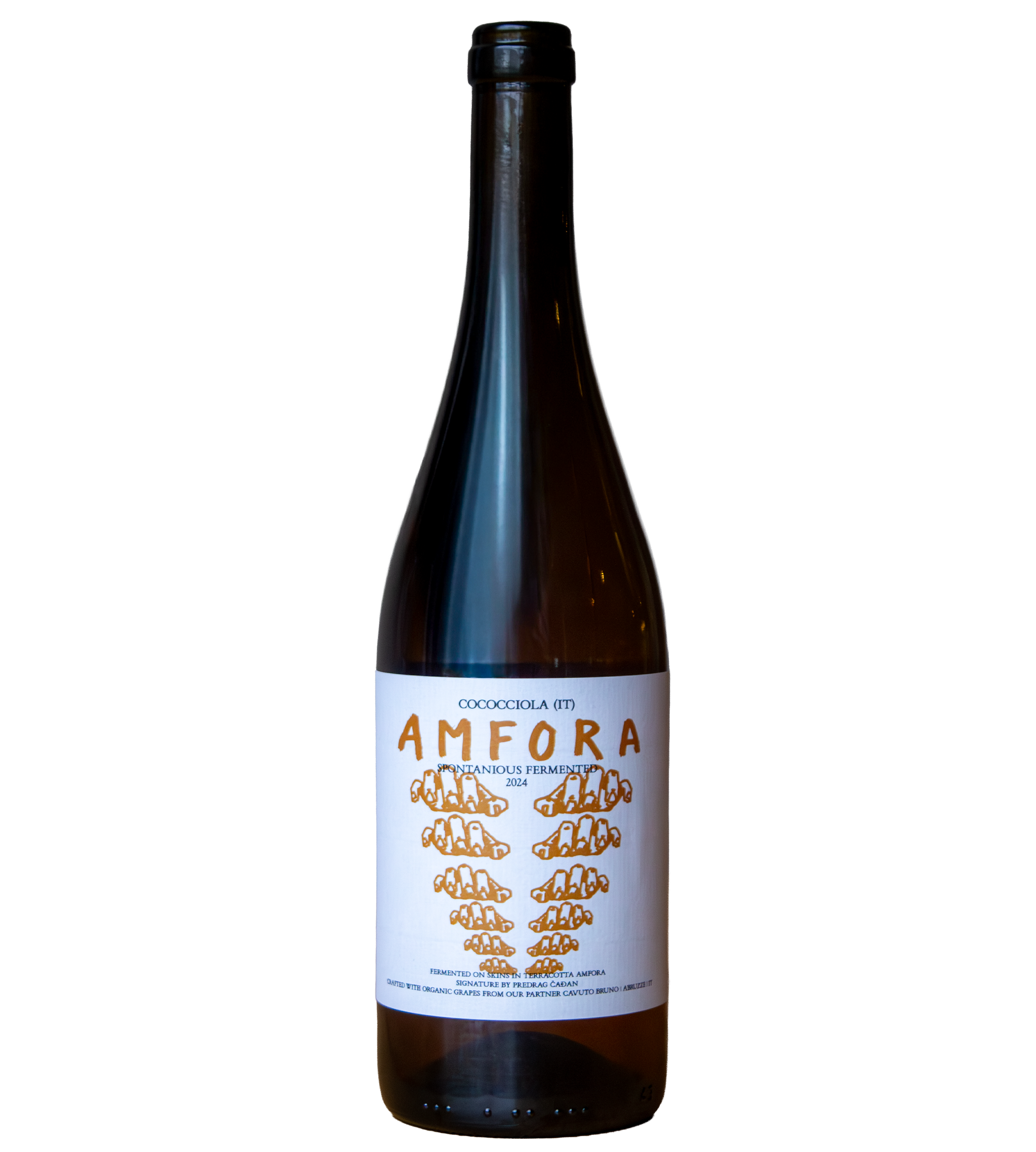 Amfora '24 - Cococciola (IT)