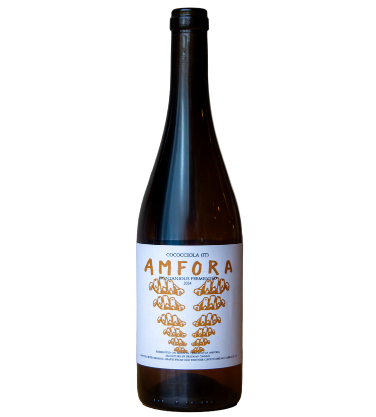 Amfora '24 - Cococciola (IT)